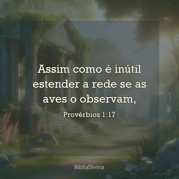 Provérbios 1:17