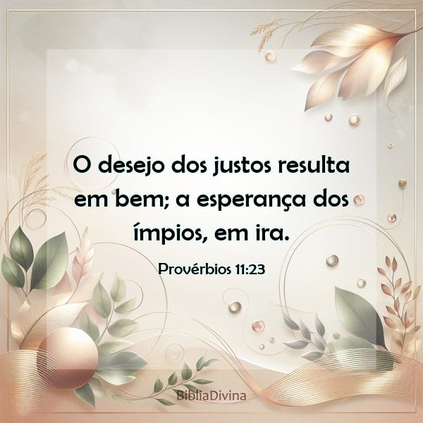 Provérbios 11:23