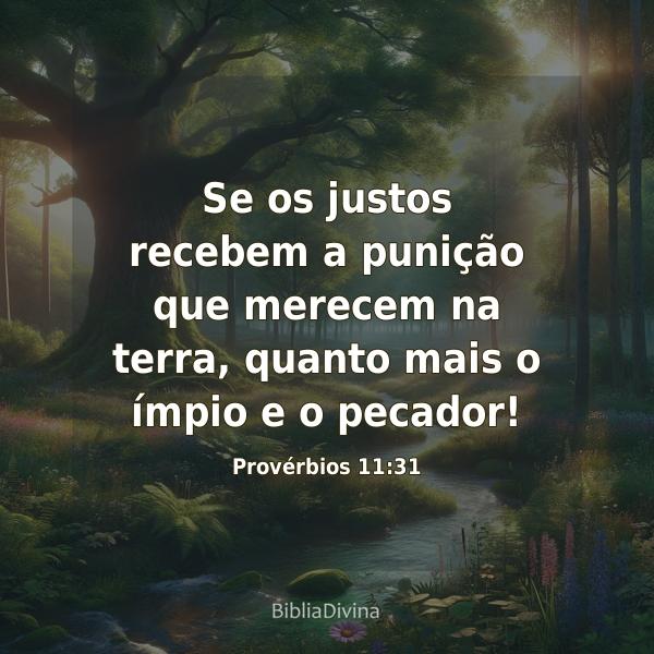 Provérbios 11:31