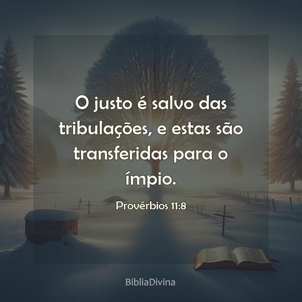 Provérbios 11:8