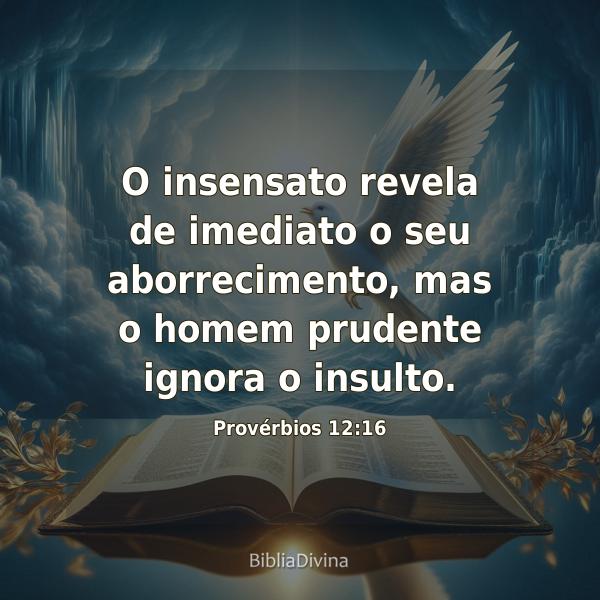 Provérbios 12:16