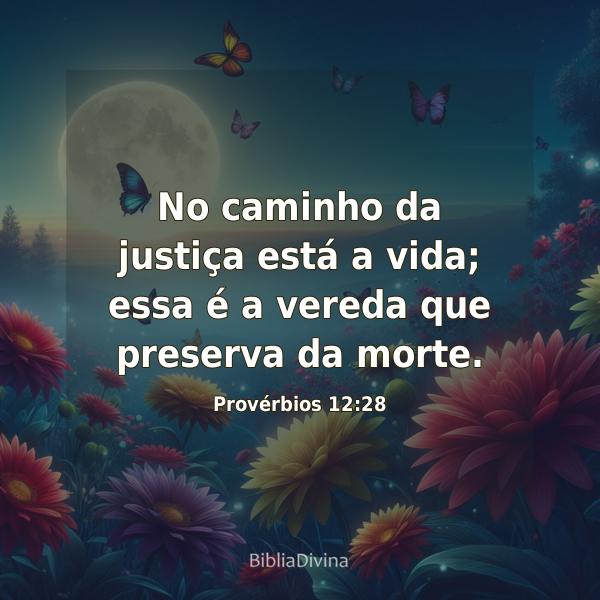 Provérbios 12:28