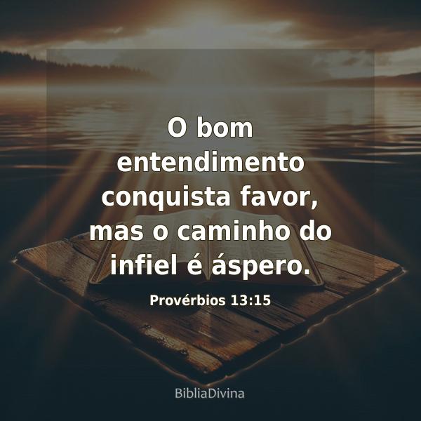 Provérbios 13:15