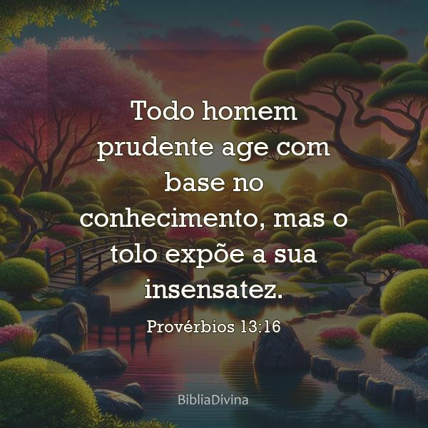 Provérbios 13:16