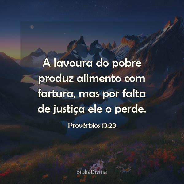 Provérbios 13:23