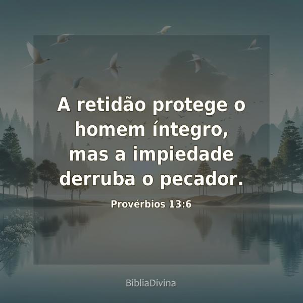 Provérbios 13:6