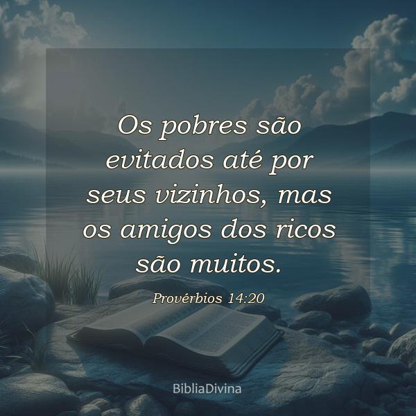 Provérbios 14:20