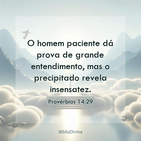 Provérbios 14:29