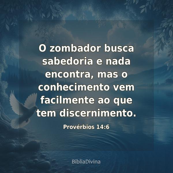 Provérbios 14:6