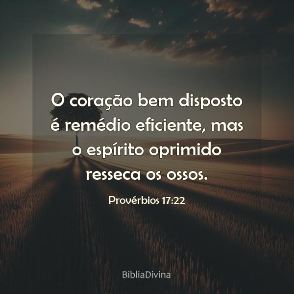 Provérbios 17:22