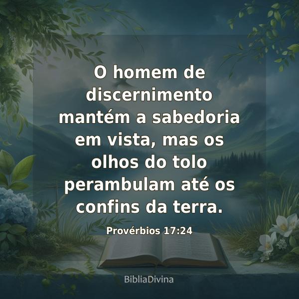 Provérbios 17:24