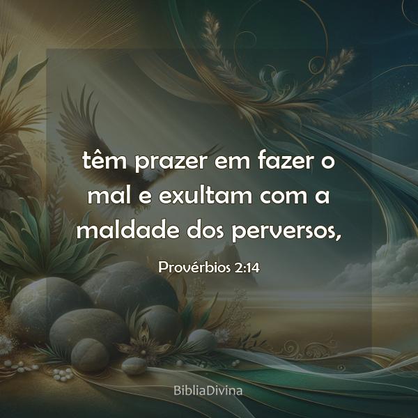 Provérbios 2:14