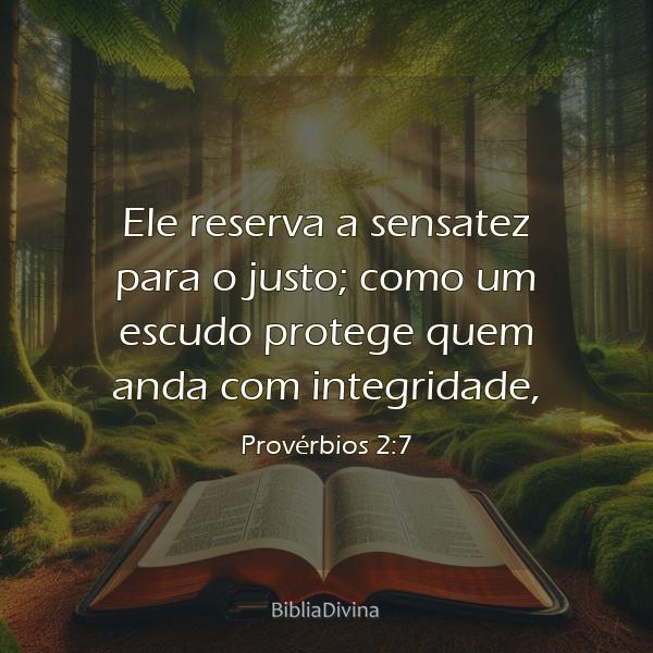 Provérbios 2:7