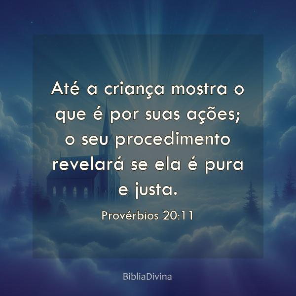 Provérbios 20:11