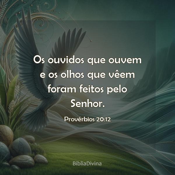 Provérbios 20:12