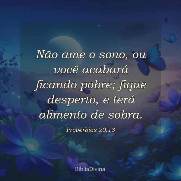 Provérbios 20:13