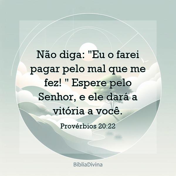 Provérbios 20:22