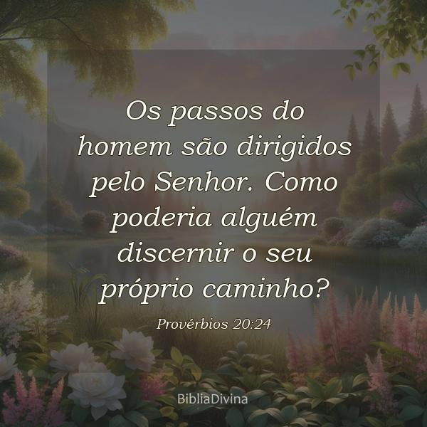 Provérbios 20:24