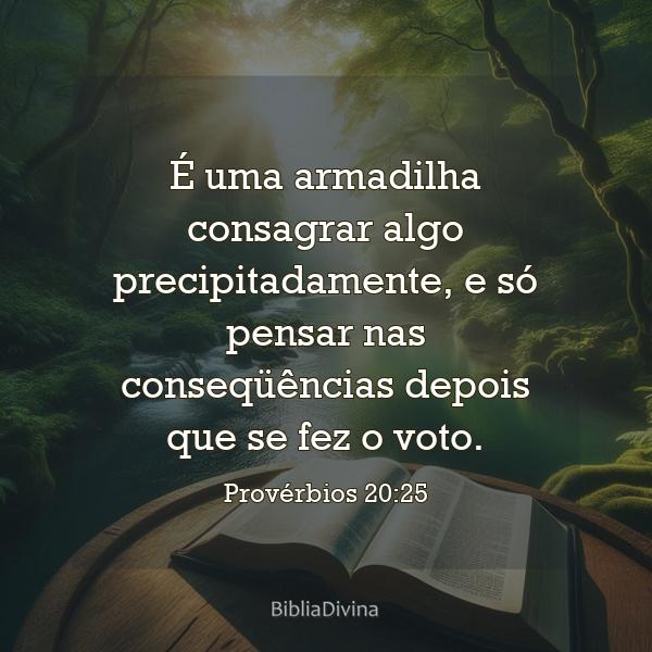 Provérbios 20:25