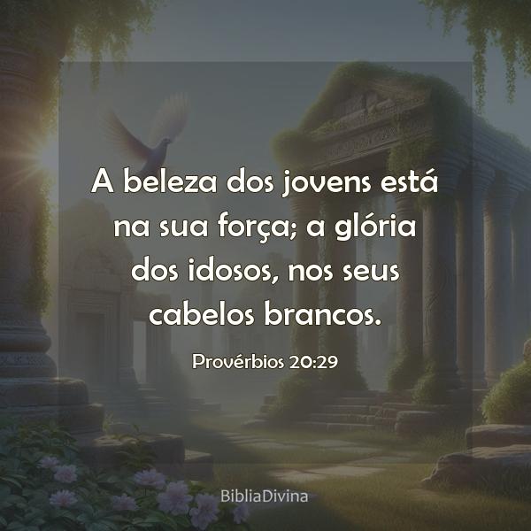 Provérbios 20:29