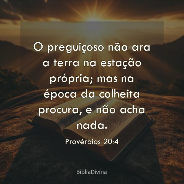 Provérbios 20:4