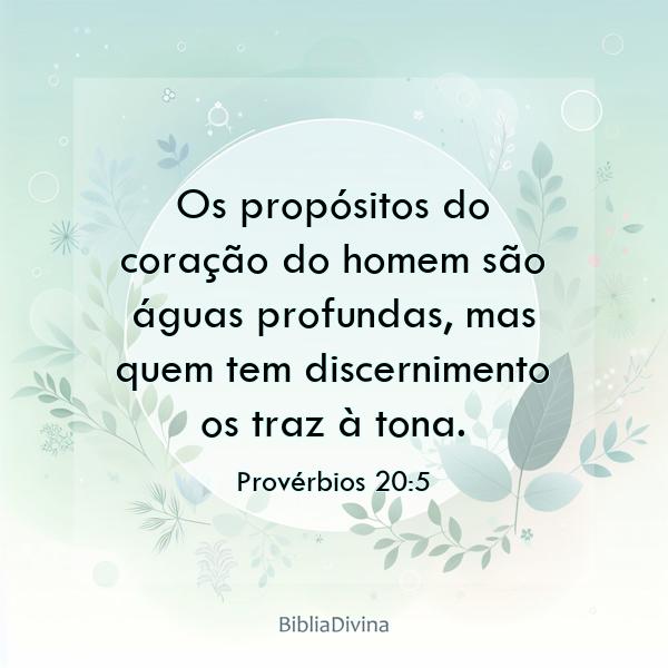 Provérbios 20:5