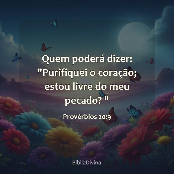 Provérbios 20:9