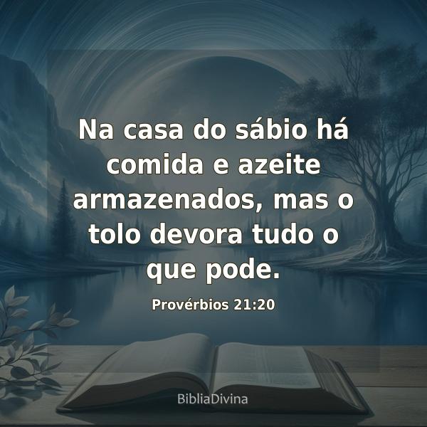 Provérbios 21:20