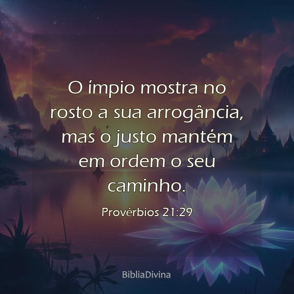 Provérbios 21:29