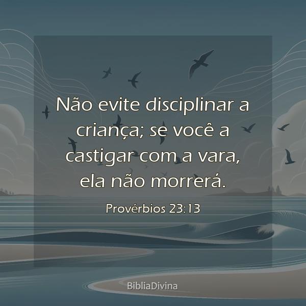 Provérbios 23:13