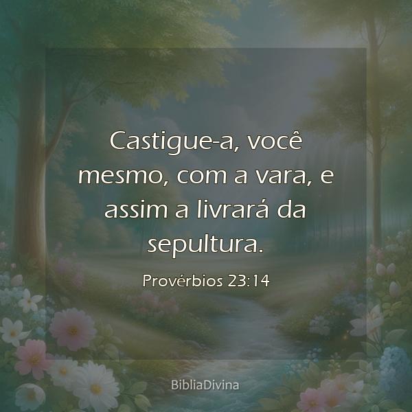 Provérbios 23:14