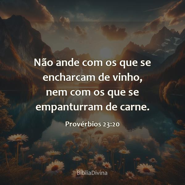 Provérbios 23:20