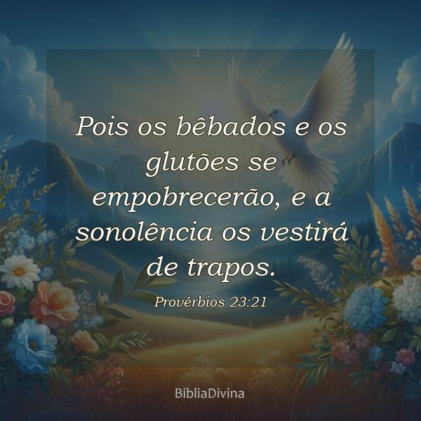 Provérbios 23:21