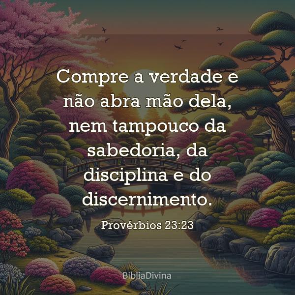 Provérbios 23:23