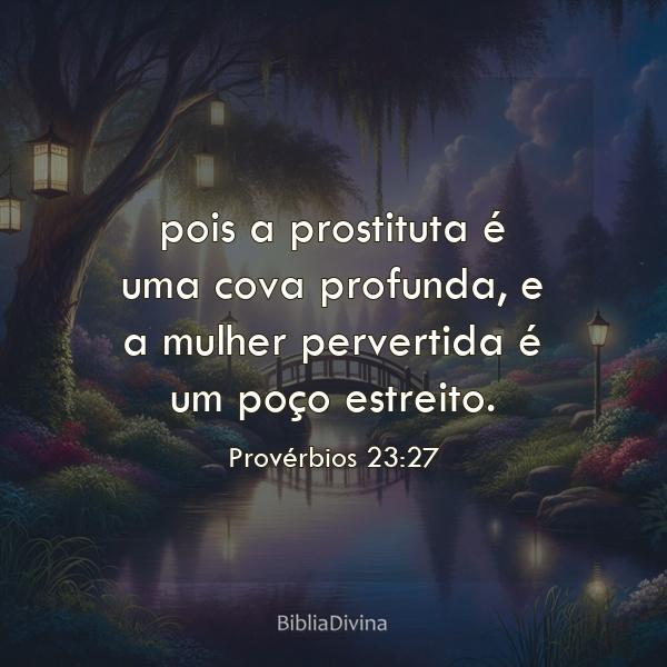 Provérbios 23:27