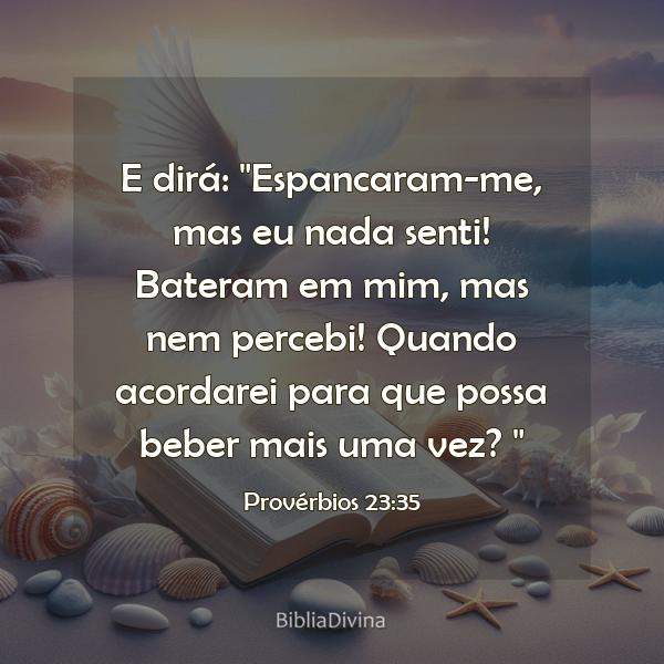 Provérbios 23:35