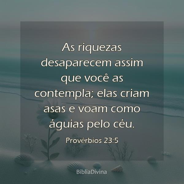 Provérbios 23:5