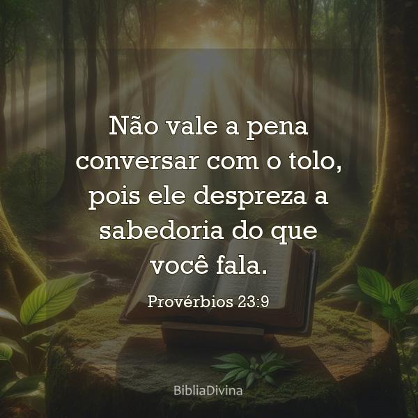 Provérbios 23:9