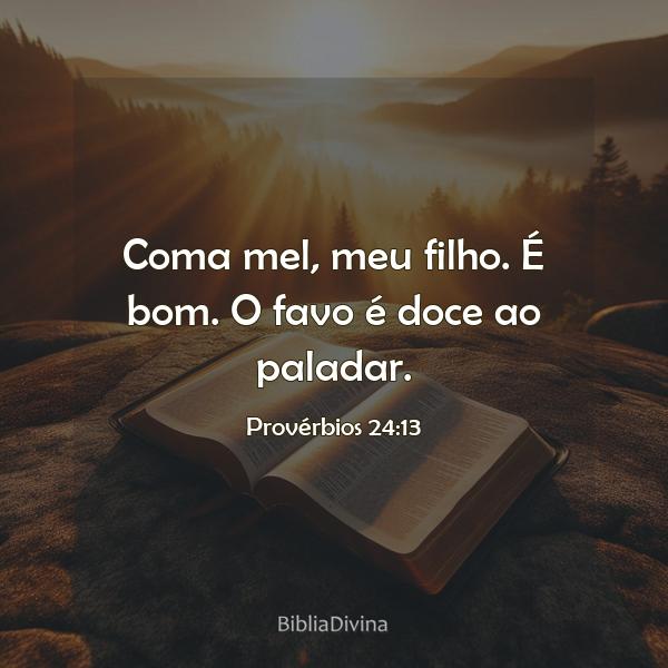 Provérbios 24:13