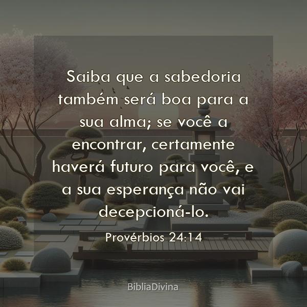 Provérbios 24:14