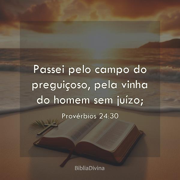 Provérbios 24:30