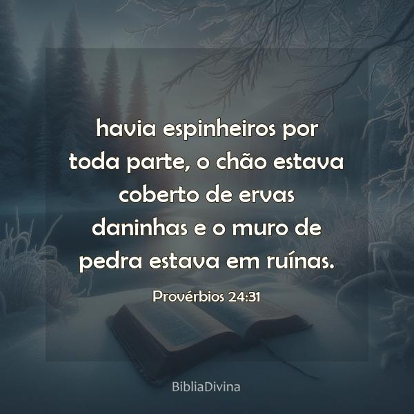 Provérbios 24:31