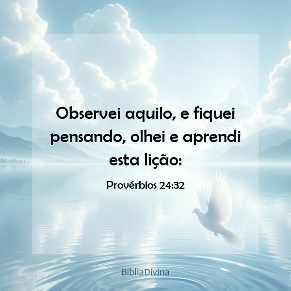 Provérbios 24:32