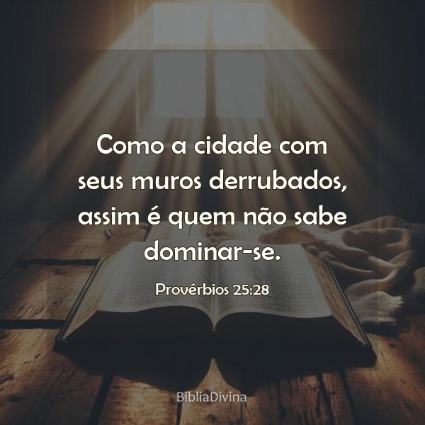 Provérbios 25:28