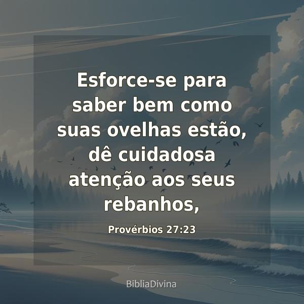 Provérbios 27:23