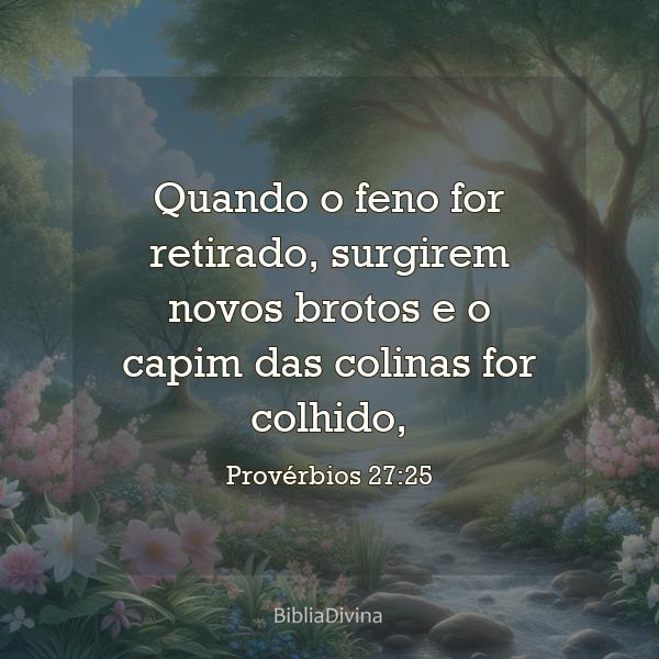 Provérbios 27:25