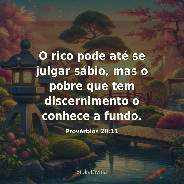 Provérbios 28:11