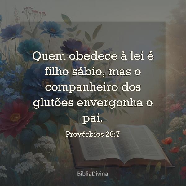 Provérbios 28:7