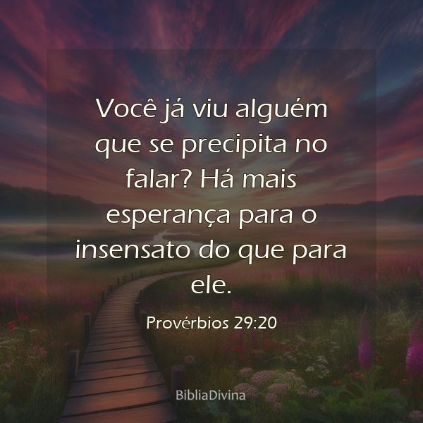 Provérbios 29:20