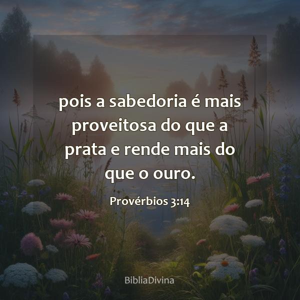 Provérbios 3:14